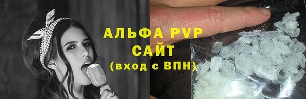 сатива Гусев
