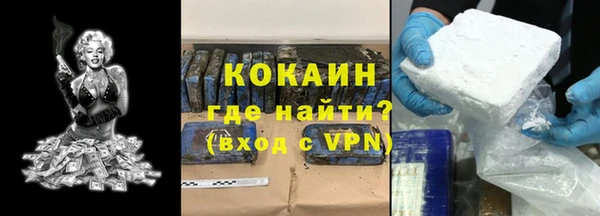 сатива Гусев