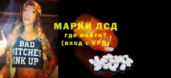 сатива Гусев