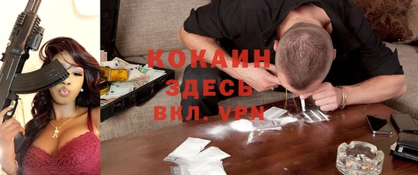 сатива Гусев