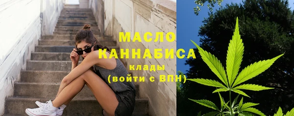сатива Гусев